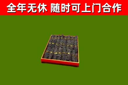阳东区回收海参
